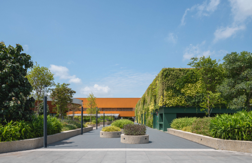 Photo shows green roof on top of punggol one